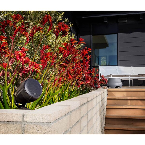 Main product image for Polk Audio Atrium Sub 100 10" Outdoor Subwoofer243-620
